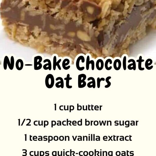 Dessert Recipes - No-Bake Chocolate Oat Bars